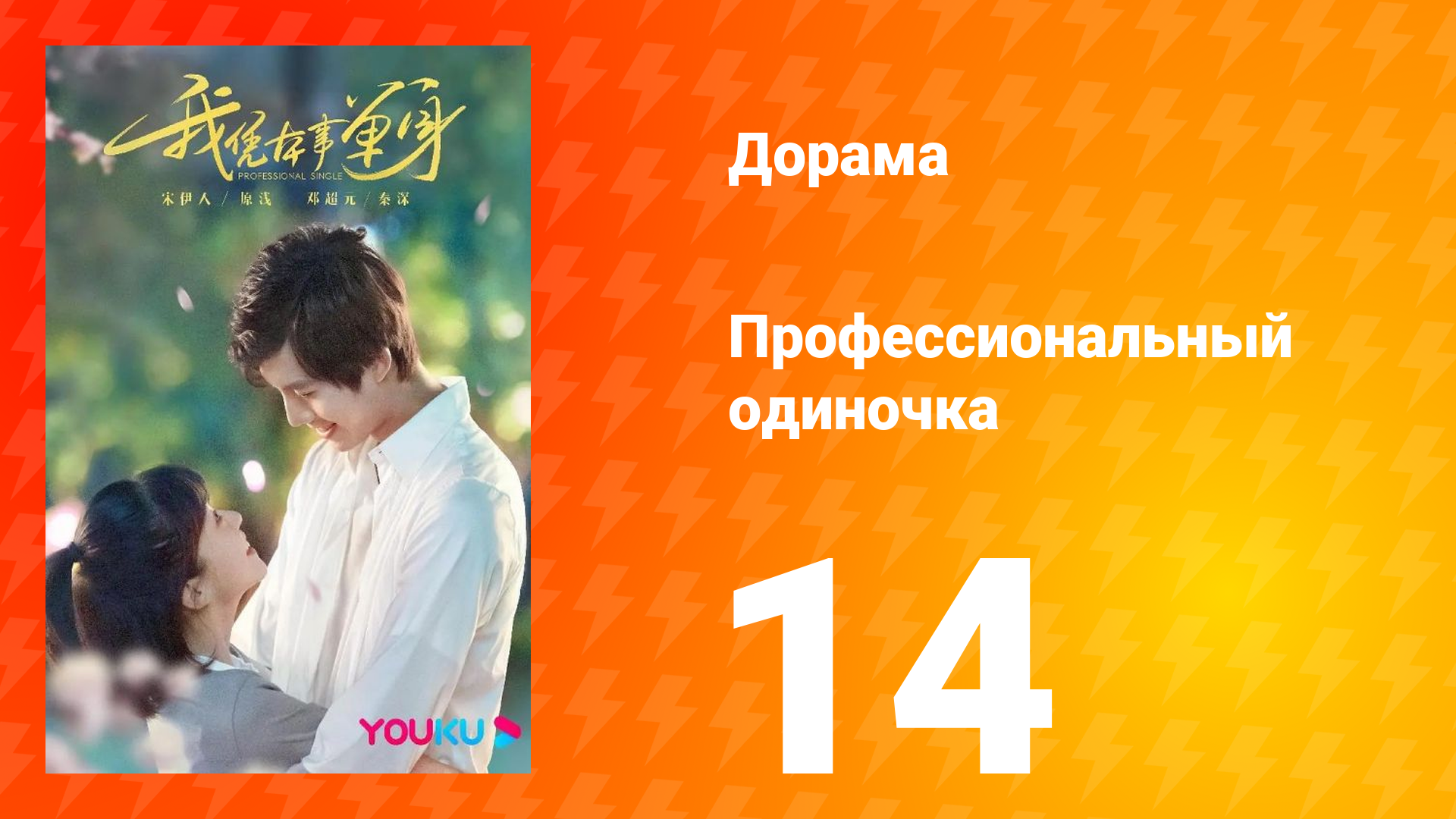 Профессиональный одиночка 1 сезон 14 серия