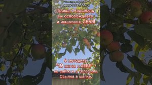 Как простить Нарцисса и исцелить Себя