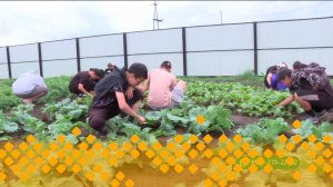 «Тиэргэн»: «Дьулуур» үлэ уонна сынньалаҥ лааҕыра (18.07.25)