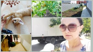 270 Жизнь на юге. ОПЯТЬ ПРИШЛА НА ПОМОЩЬ. ВЫЗВАЛИ ЭЛЕКТРИКА. УЖЕ ПОМИДОРЫ.