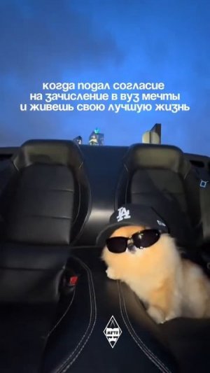 А ты уже подал согласие на зачисление?
