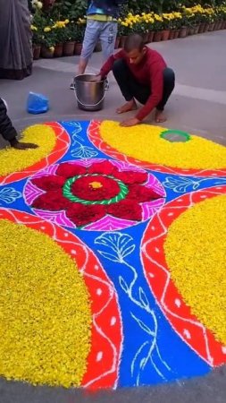 Rangoli for Elephant procession  #mayapur #elephants #shorts