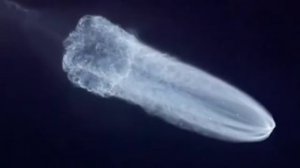 Космическая медуза