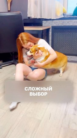 Сложный выбор