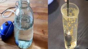 КАКАЯ ГРЯДКА ПОДХОДИТ ДЛЯ МОРКОВИ