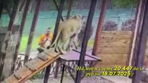 Шерхан на моём счету 20 447 бел руб 18.07.2025