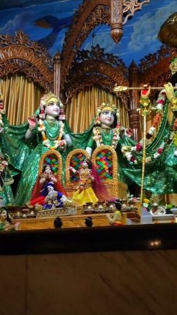 Radha Madhava || Cahandana Yatra 2024 #mayapur #beautiful #govinda #chandanayatra #shorts