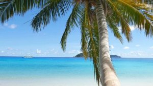 🪷BRAZILIAN HOUSE MIX 2025 Part 1 🇧🇷 Rio Style Deep House & Ambient Techno Bossa Nova 🌀_