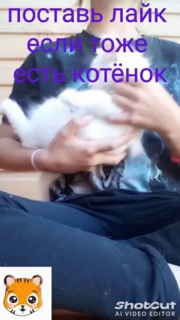 shotcut-20250718-172027.mp4