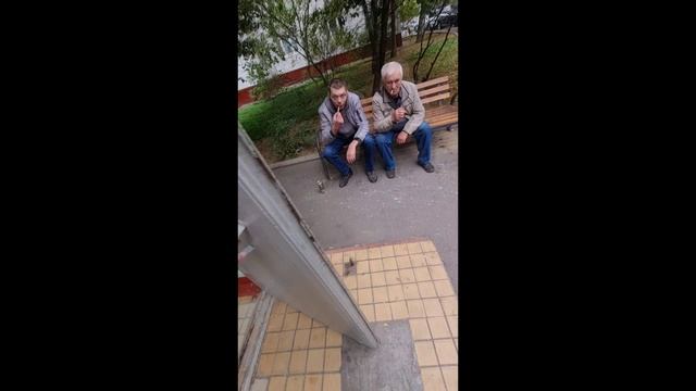 Подъездное дежавю г.Чебоксары || Чувашия, достопримечательности, сквер Чапаева, ПФО, правда ПФО, 21