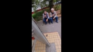 Подъездное дежавю г.Чебоксары || Чувашия, достопримечательности, сквер Чапаева, ПФО, правда ПФО, 21