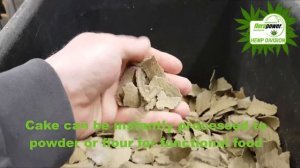 Прессование очищенных конопляных семян - прессование с конфигурацией Oil-U-Want от Florapower