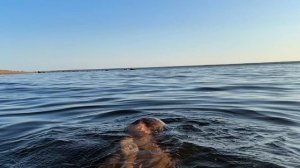 18.07.2025 год.