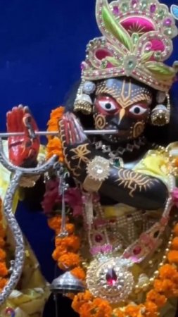 Vrindavan  #beautiful #india #harekrishna #darshan #vrindavan #deities #viral #recommended #shorts