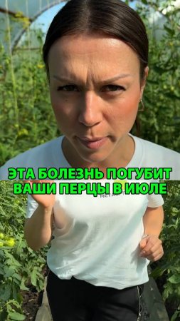 Эта болезнь погубит ваши перцы в июле