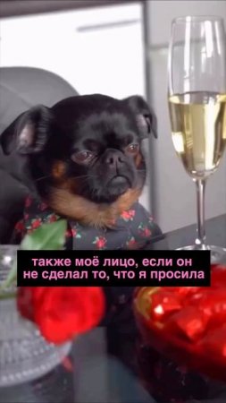 это любовь ❤️