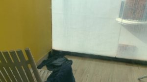 После искусственного дождя