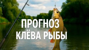 Прогноз клева рыбы с 15 по 31 июля 2025! Лунный календарь!