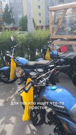 X-MOTORS г. Сургут: поступление мопедов PROMAX ALPHA RS-PRO , а также снегоходов IRBIS💥