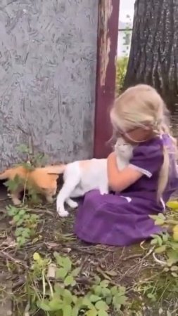познакомила своего котенка