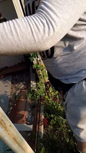 первый поход в заброшку
