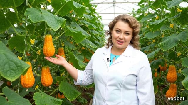 Мандурцы.