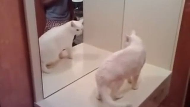 Какой ты страшный смотреть онлайн