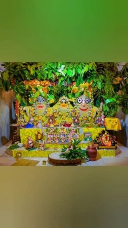 Chandana yatra in Jaganath Mandir in Mayapur 2024 #mayapur #chandanayatra #jagannathtemple #shorts