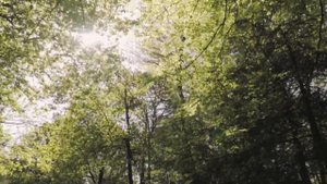 Что сейчас происходит в мире?