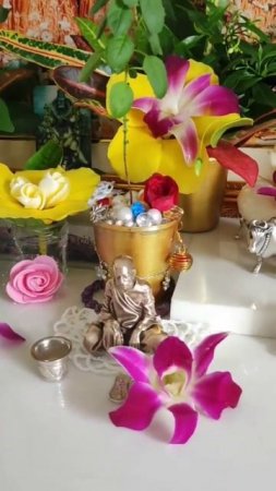 Part 1 Nama-hatta in Mayapur Dham #mayapur #kirtan #deities #shorts