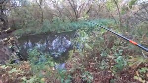 Рыбалка на спиннинг