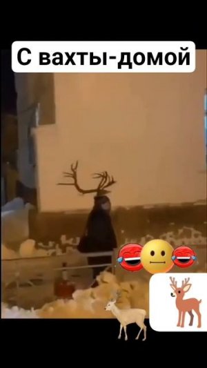 Неожиданно 😳