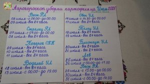 Когда копать картошку в июле 2025? Лучшие дни!
