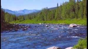 Природа России: часть 1