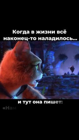 Бывшая