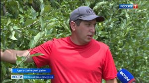 Вести Карачаево-Черкесия 18.07.2025