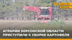 Аграрии Херсонской области приступили к уборке картофеля