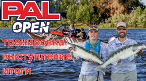 Как мы на PAL OPEN ездили, что пошло не так