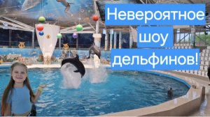 Даша на шоу дельфинов!🐬