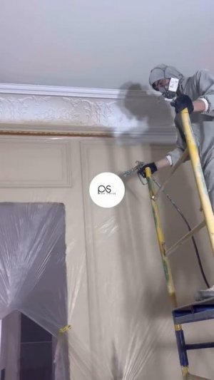 Paint Service