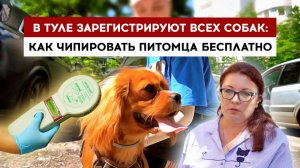 В Туле зарегистрируют всех собак: как чипировать питомца бесплатно