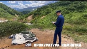 Медведь напал на спящую в палатке женщину — у неё частично снят скальп, глубокие раны и переломы