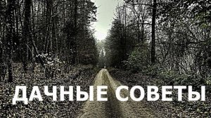 Дачные Советы3
