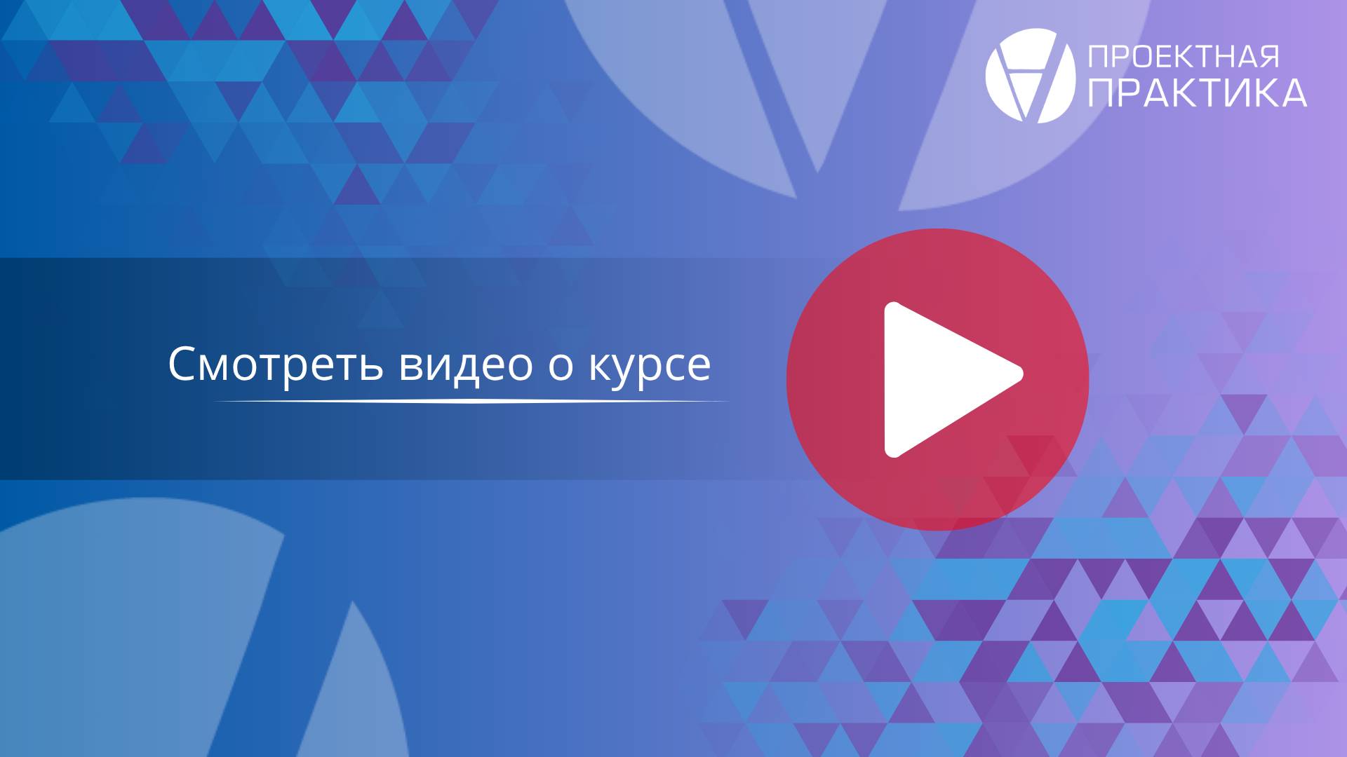 Курс «Эффективная система управления проектами в организации»