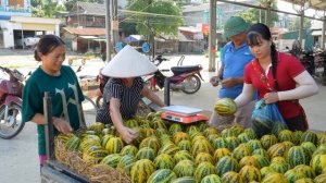 Use 3-Wheeled Truck To Harvest A Lot Of Melon Goes To Countryside Market Sell For Villager.