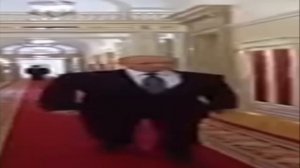 Широкий путин