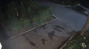 💐Настоящий «романтик» из Подмосковья понес большой букет цветов своей даме💐