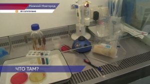 Специалисты Роспотребнадзора проверили шаурму на болезнетворные бактерии