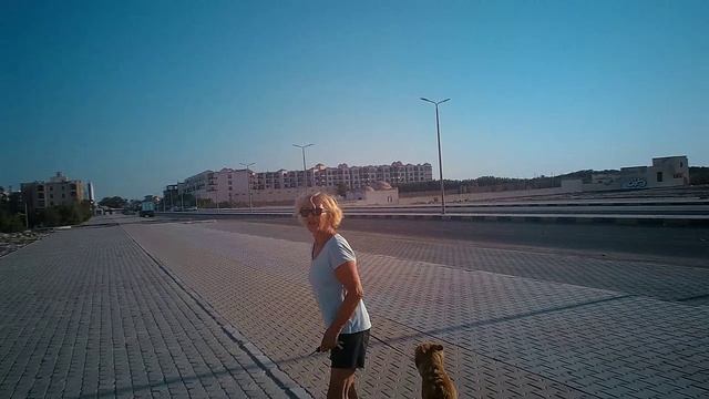 Бешенная крезе немка напала ~ 7:30 04.07.2025 смотреть онлайн