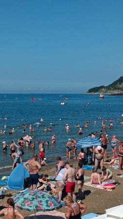 Обстановка в Лермонтово сезон в разгаре